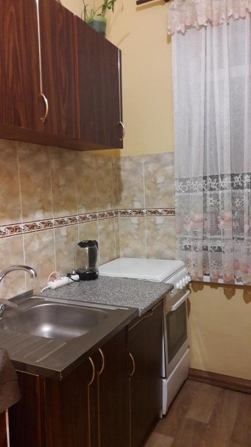 Apartment Pylnykarska 8А Lviv Eksteriør billede